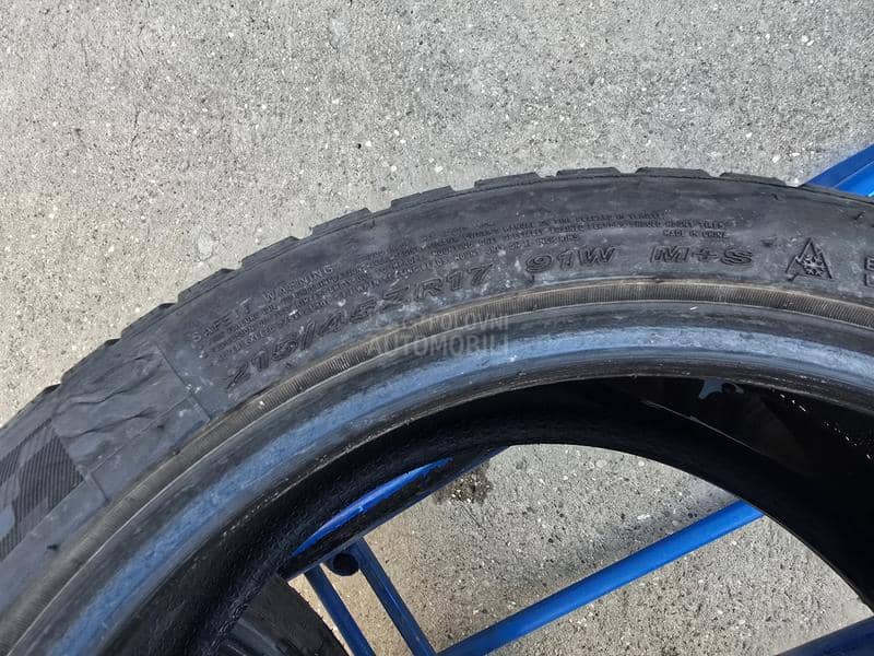 Nexen 215/45 R17 Sve sezone