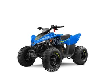 CFMOTO CFORCE 110 BASIC