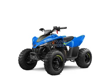 CFMOTO CFORCE 110 BASIC