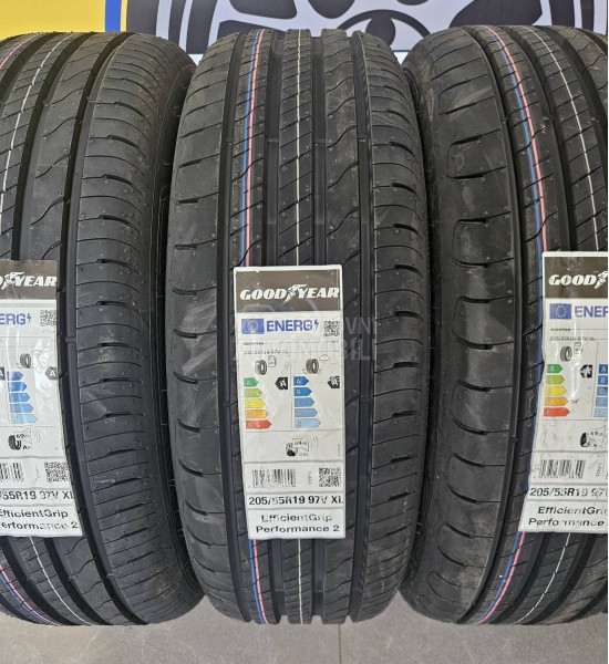 Goodyear 205/55 R19 Letnja