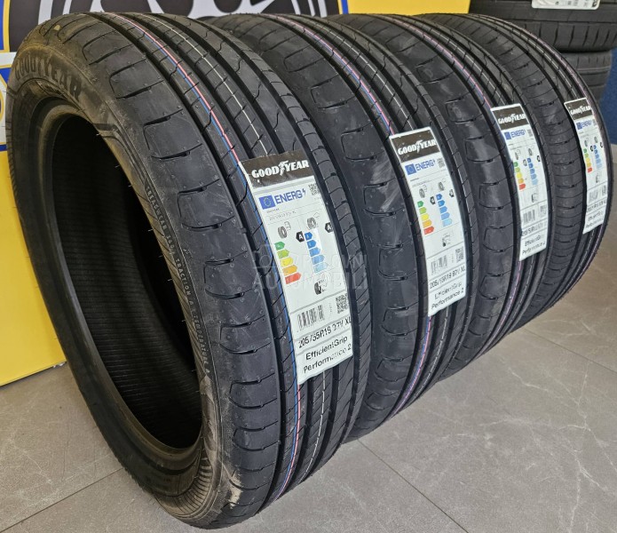 Goodyear 205/55 R19 Letnja