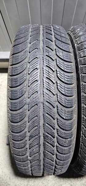 Sava 185/65 R15 Zimska