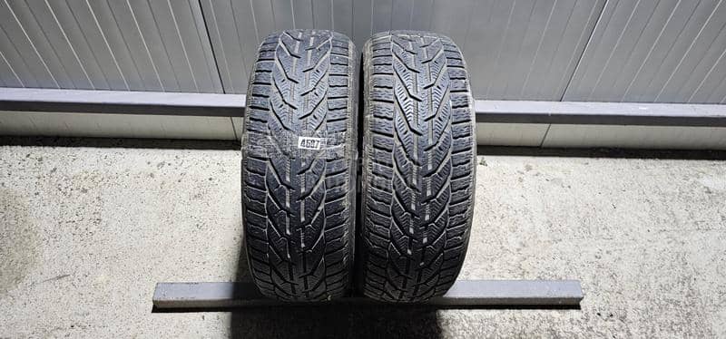 Riken 205/55 R16 Zimska