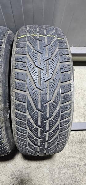 Riken 205/55 R16 Zimska