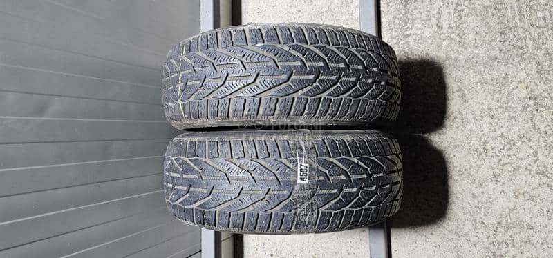 Riken 205/55 R16 Zimska