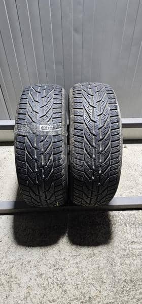 Riken 205/55 R16 Zimska