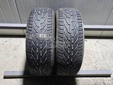 Riken 205/55 R16 Zimska