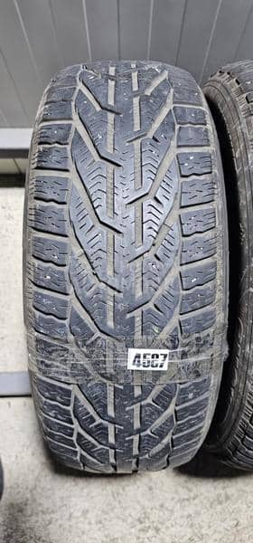 Riken 205/55 R16 Zimska