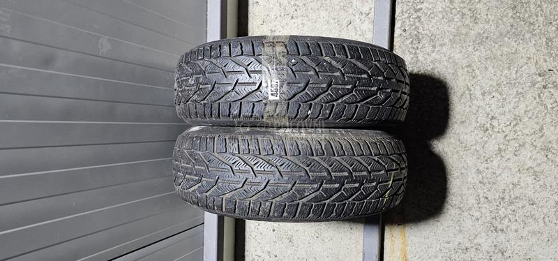 Riken 185/65 R15 Zimska