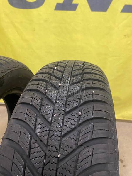 Nexen 185/65 R15 Sve sezone