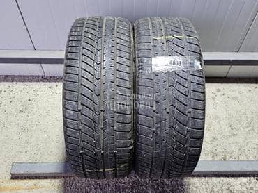 Fortuna 205/55 R16 Zimska