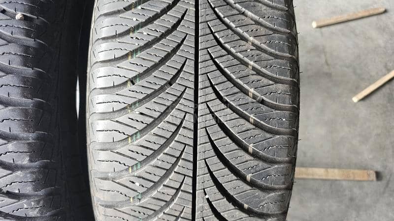 Goodyear 215/55 R17 Sve sezone