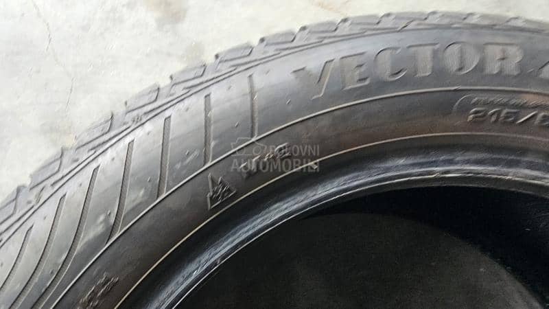 Goodyear 215/55 R17 Sve sezone
