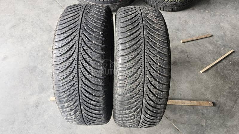 Goodyear 215/55 R17 Sve sezone