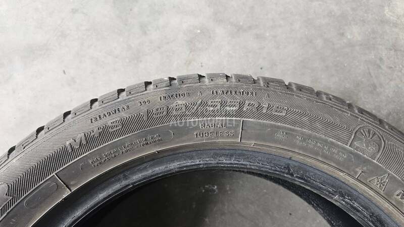 Goodyear 195/55 R16 Sve sezone
