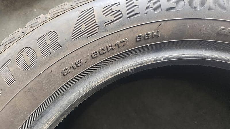 Goodyear 215/60 R17 Sve sezone