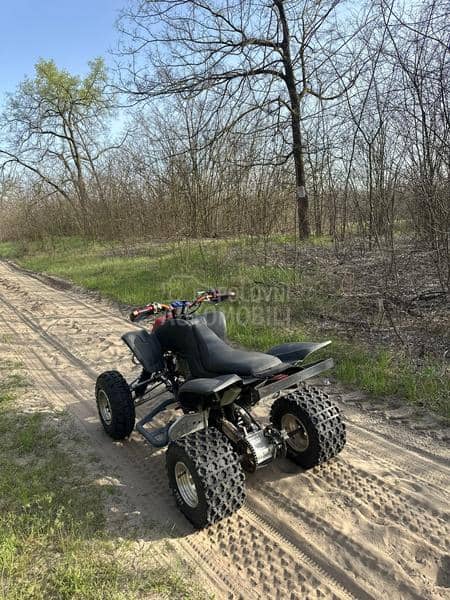 Yamaha RAPTOR 660r