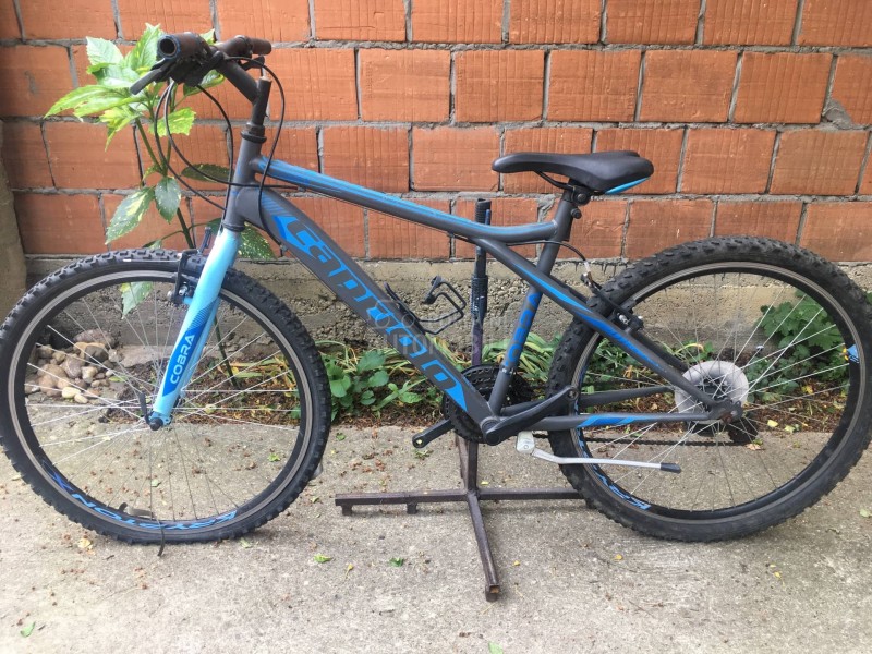 Capriolo Cobra 260 18 Plava