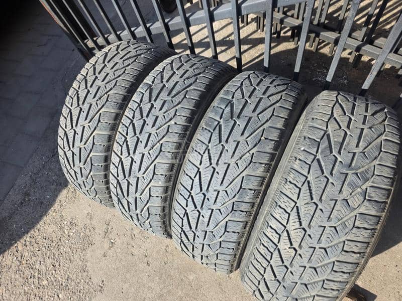 Altenzo 205/55 R16 Sve sezone