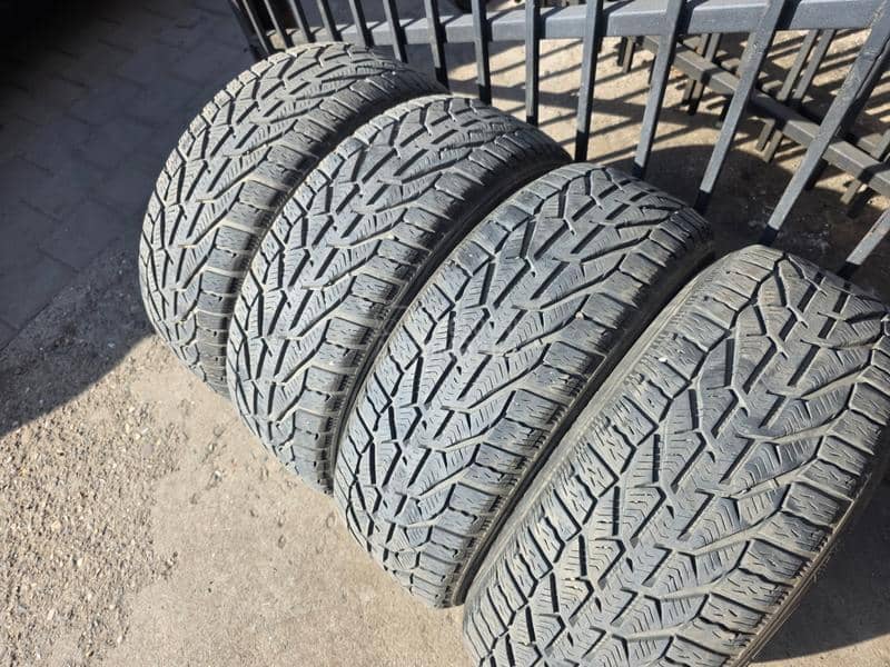 Altenzo 205/55 R16 Sve sezone