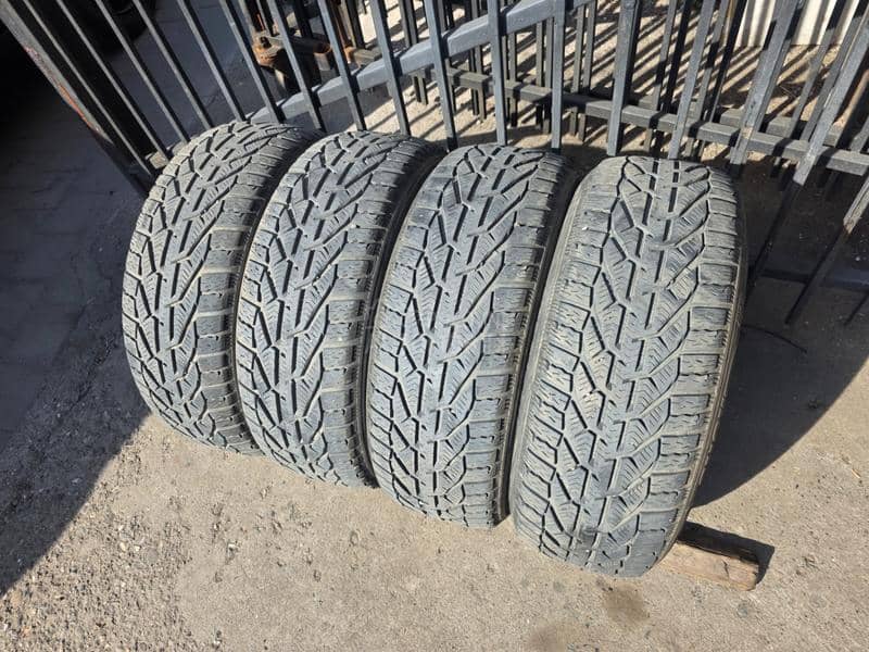 Altenzo 205/55 R16 Sve sezone