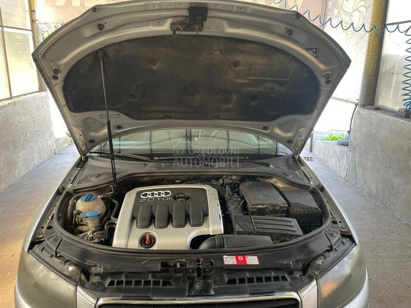 Audi A3 8P 2.0 TDI