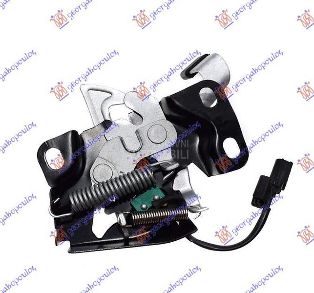 BRAVA HAUBE NA VEZNOM LIMU (SA