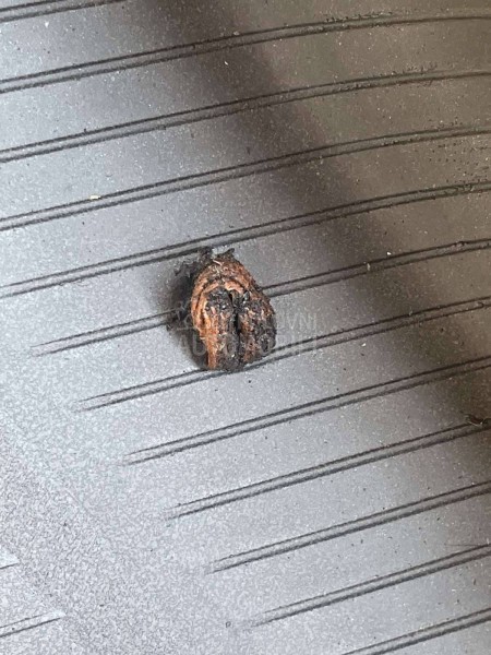 Toyo 205/60 R16 Letnja