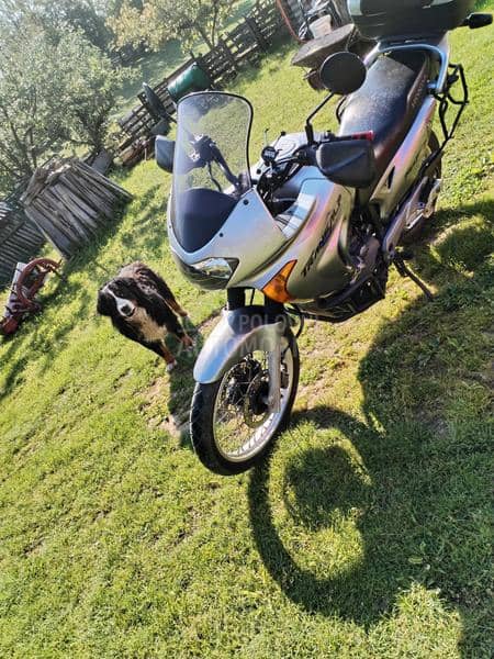 Honda transalp
