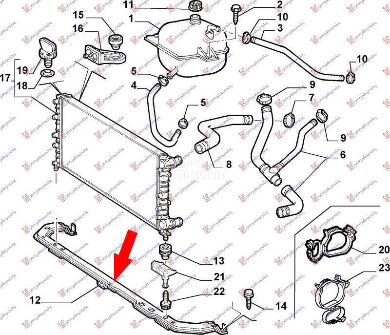 SINA PREDNJEG BRANIKA DONJA (O