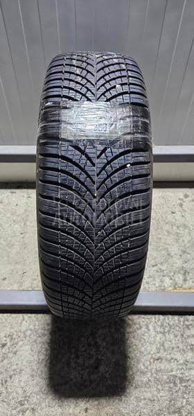 Goodyear 215/60 R17 Sve sezone
