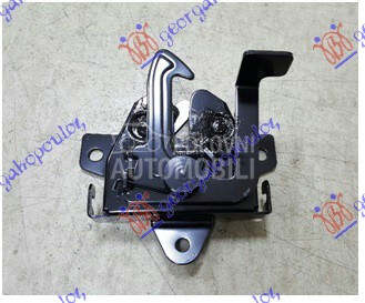 BRAVA HAUBE NA VEZNOM LIMU