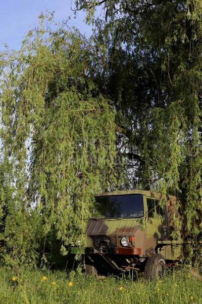 Pinzgauer 