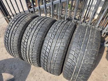 Michelin 205/55 R16 Sve sezone