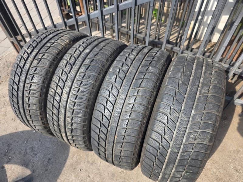 Michelin 205/55 R16 Sve sezone