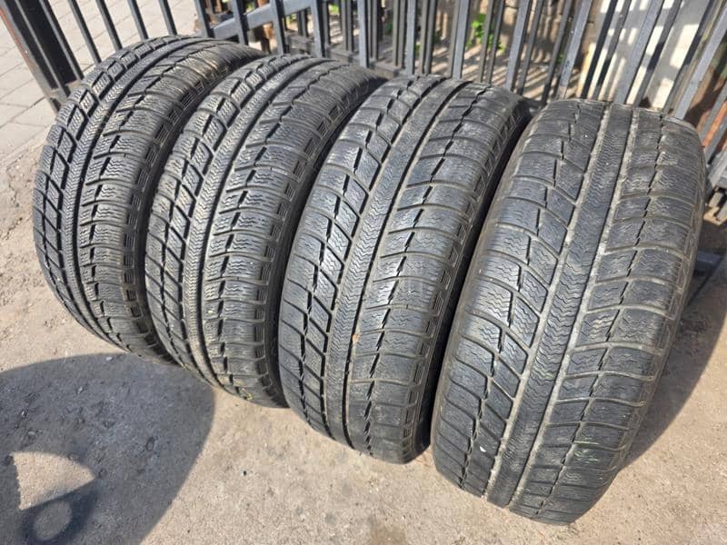 Michelin 205/55 R16 Sve sezone