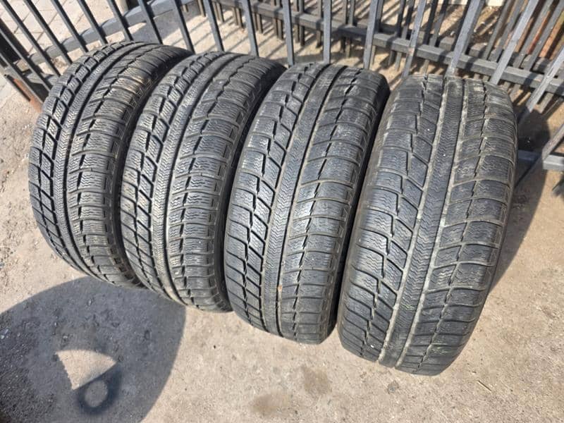Michelin 205/55 R16 Sve sezone