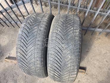 Altenzo 225/55 R17 Sve sezone