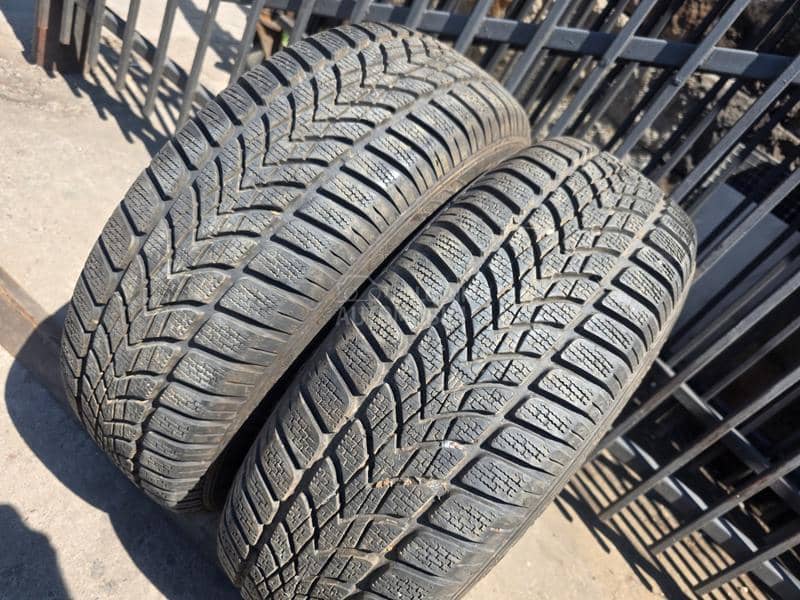 Dunlop 195/65 R15 Sve sezone
