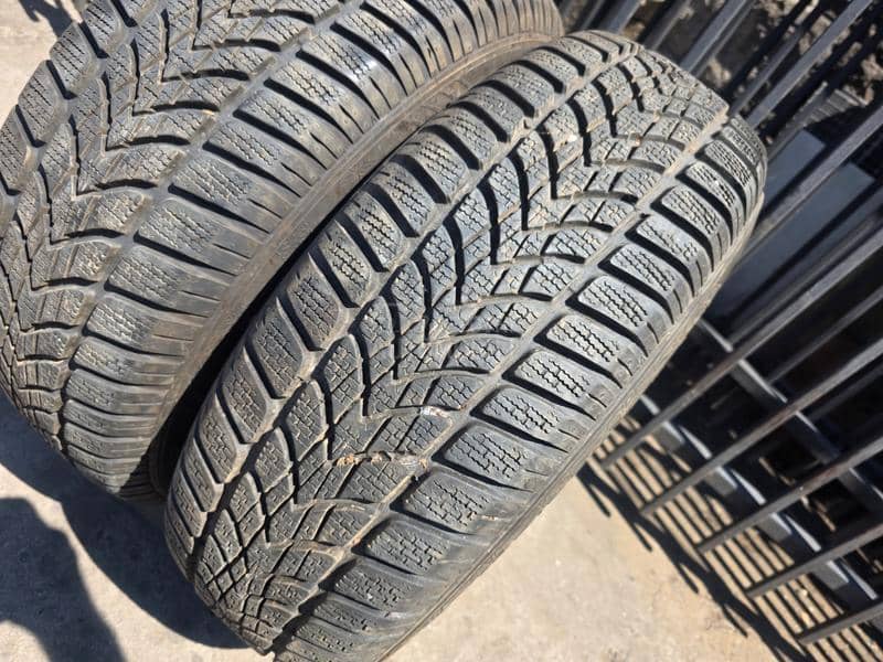 Dunlop 195/65 R15 Sve sezone