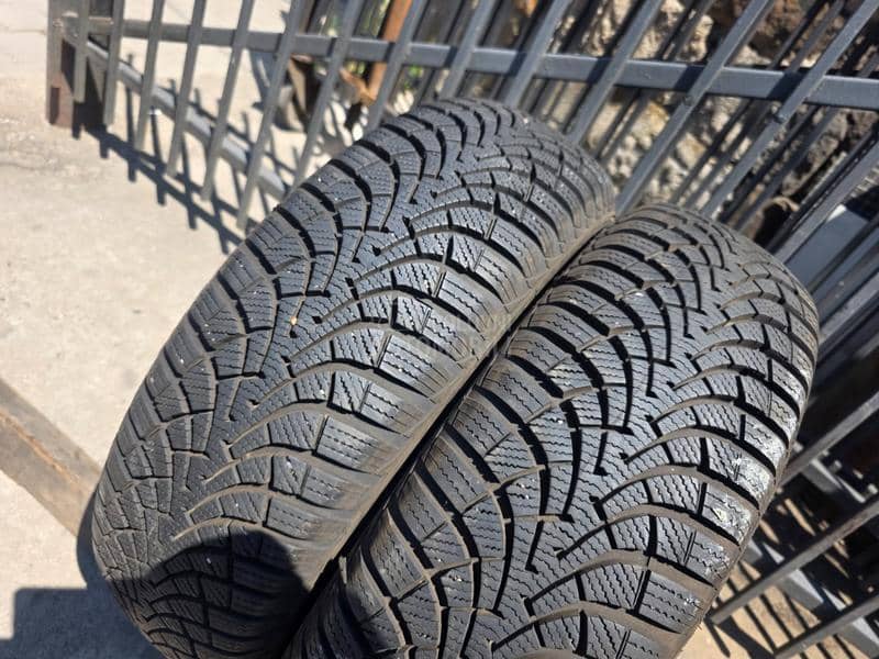 Goodyear 195/65 R15 Sve sezone