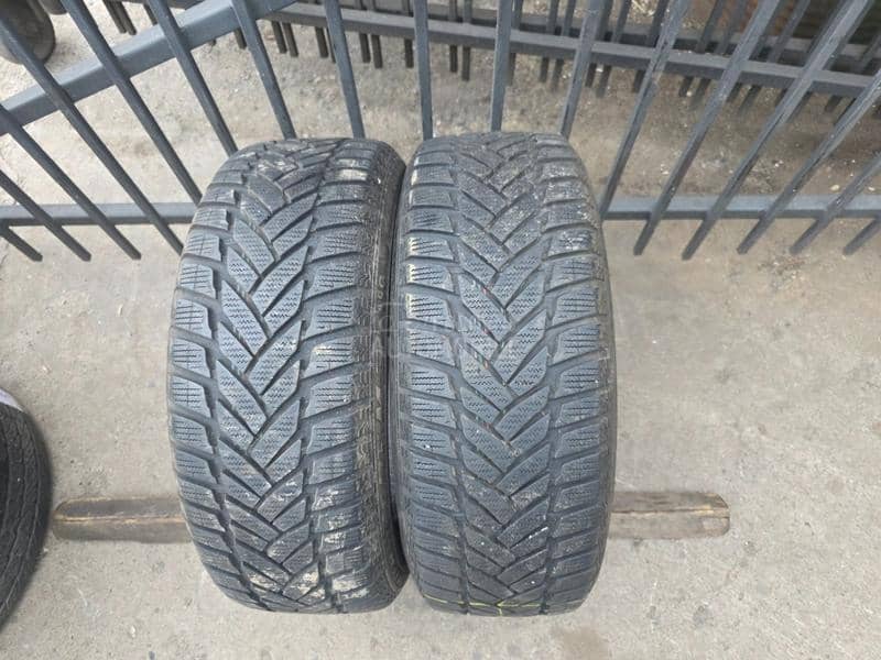 Dunlop 195/55 R16 Sve sezone