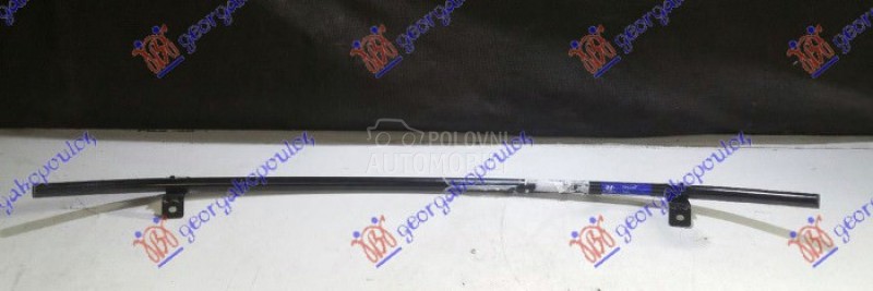 SINA PREDNJEG BRANIKA DONJA (O