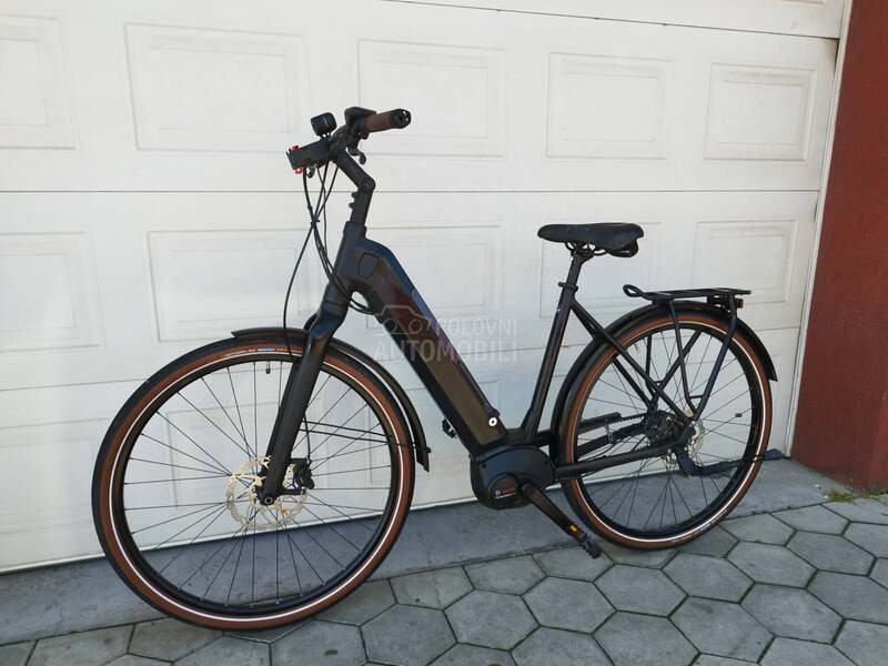 Raleigh Karbon kais