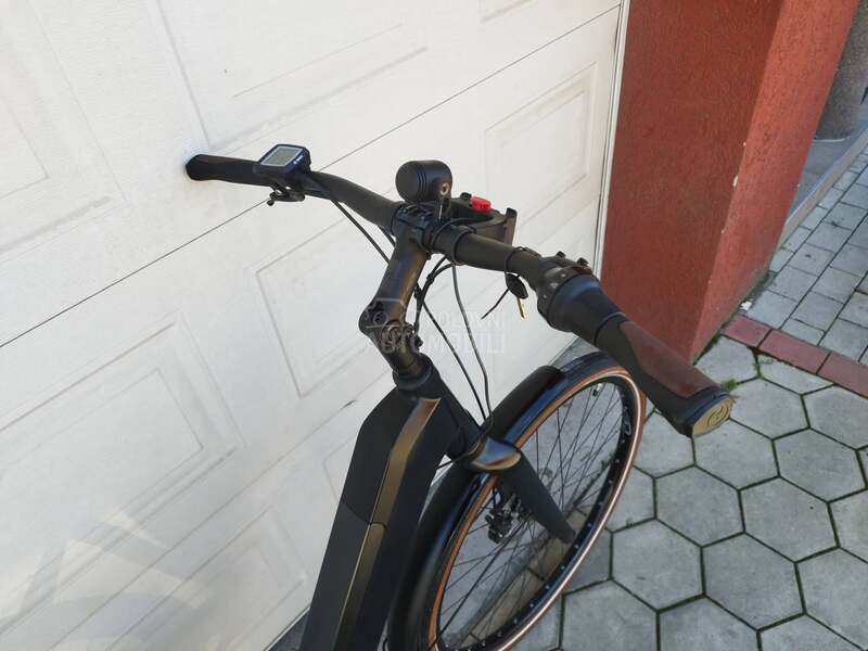 Raleigh Karbon kais