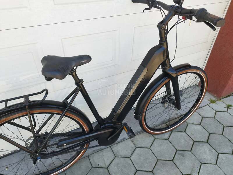 Raleigh Karbon kais