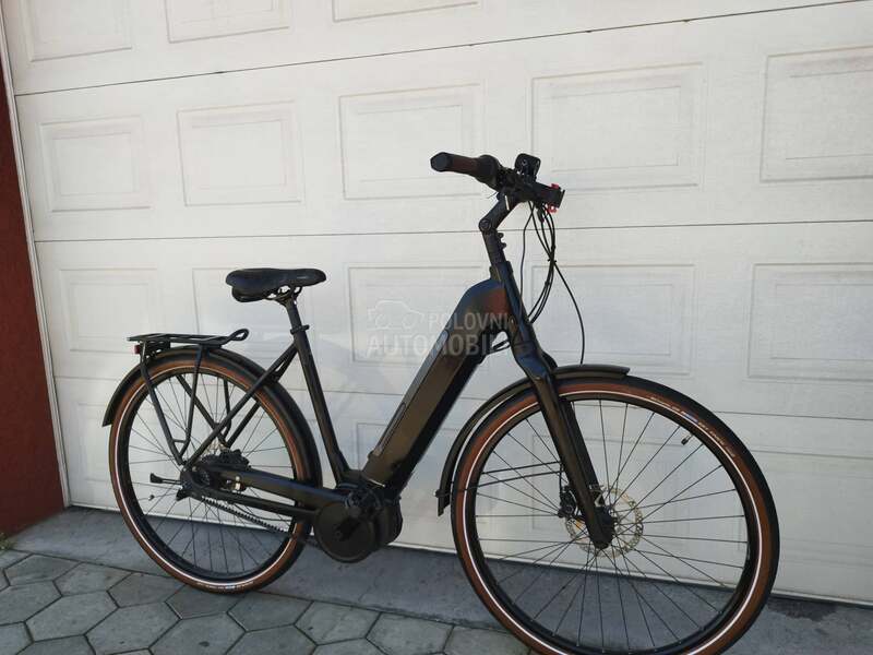 Raleigh Karbon kais