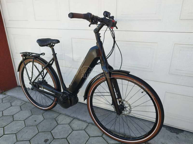 Raleigh Karbon kais