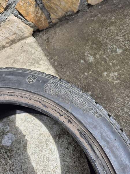 Riken 225/45 R17 Zimska