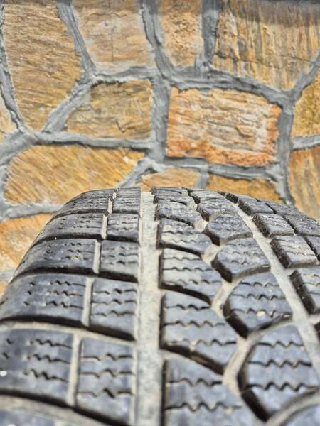 Riken 225/45 R17 Zimska